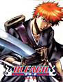 Bleach TV 16